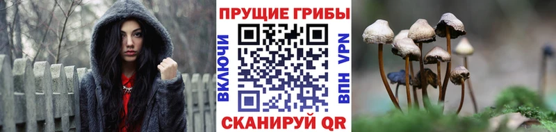 Галлюциногенные грибы Magic Shrooms  где найти   MEGA как зайти  Щёлково 
